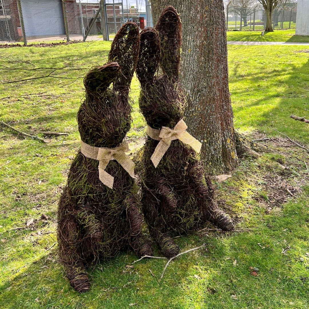 Pair of 3.5ft Wicker Rabbits
